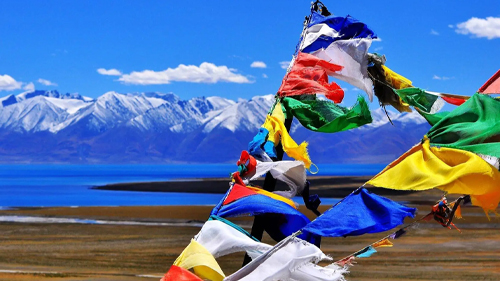 恭喜小牛科技中标河南省新华书店发行集团有限公司“青少年读书平台”项目